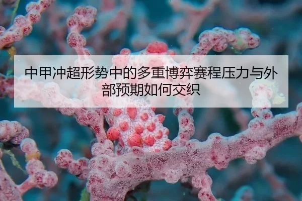 中甲冲超形势中的多重博弈赛程压力与外部预期如何交织